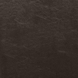 Kimonte Dining Chair Set - Theo's Factory Direct Mattress & Furniture (Columbus, OH)