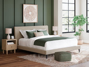 Cielden Upholstered Bed with Roll Slats - Theo's Factory Direct Mattress & Furniture (Columbus, OH)