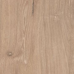 Cielden Bed - Theo's Factory Direct Mattress & Furniture (Columbus, OH)