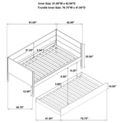 Calinda Daybeds - Theo's Factory Direct Mattress & Furniture (Columbus, OH)