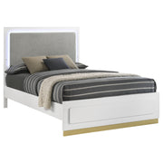 Caraway Queen Bed - Theo's Factory Direct Mattress & Furniture (Columbus, OH)