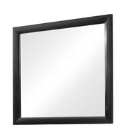 Briana Rectangle Dresser Mirror Black - Theo's Factory Direct Mattress & Furniture (Columbus, OH)
