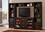 Lewes 2-door TV Stand with Adjustable Shelves Cappuccino - Theo's Factory Direct Mattress & Furniture (Columbus, OH)