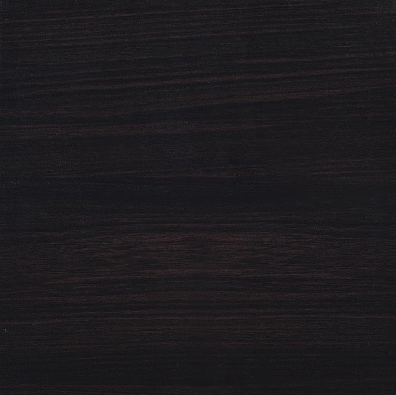 Lewes 2-door TV Stand with Adjustable Shelves Cappuccino - Theo's Factory Direct Mattress & Furniture (Columbus, OH)