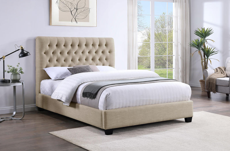 Chloe Queen Beds - Theo's Factory Direct Mattress & Furniture (Columbus, OH)