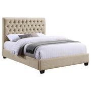 Chloe Queen Beds - Theo's Factory Direct Mattress & Furniture (Columbus, OH)