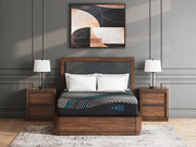 Millennium 2.0 Foam 12 Inch Mattress - Theo's Factory Direct Mattress & Furniture (Columbus, OH)