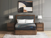 Millennium 2.0 Foam 14 Inch Mattress - Theo's Factory Direct Mattress & Furniture (Columbus, OH)