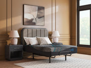 Millennium 2.0 Hybrid 12 Inch Mattress - Theo's Factory Direct Mattress & Furniture (Columbus, OH)