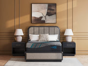 Millennium 2.0 Hybrid 14 Inch Mattress - Theo's Factory Direct Mattress & Furniture (Columbus, OH)