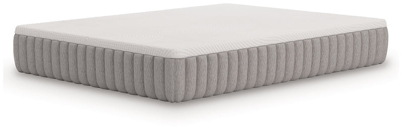 Terra Sleep Medium Mattress - Theo's Factory Direct Mattress & Furniture (Columbus, OH)