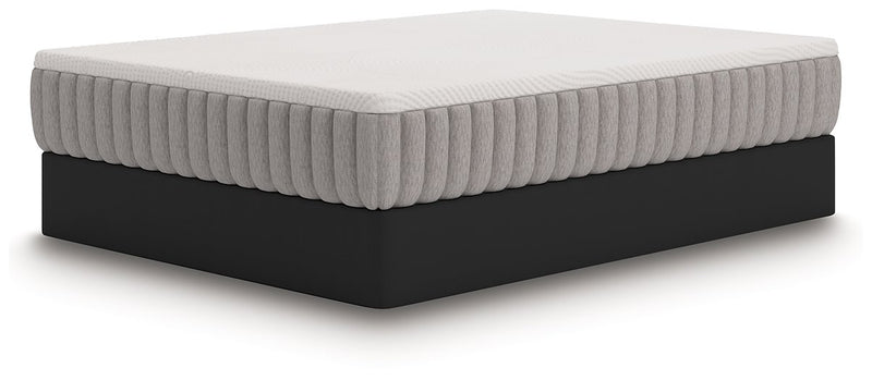 Terra Sleep Medium Mattress - Theo's Factory Direct Mattress & Furniture (Columbus, OH)