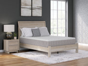 Terra Sleep Medium Mattress - Theo's Factory Direct Mattress & Furniture (Columbus, OH)