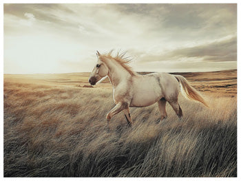 Errolville Wall Art - Theo's Factory Direct Mattress & Furniture (Columbus, OH)