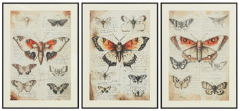 Jossletts Wall Art (Set of 3) - Theo's Factory Direct Mattress & Furniture (Columbus, OH)