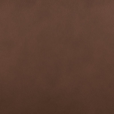 Pincara Power AutoGlide Recliner - Theo's Factory Direct Mattress & Furniture (Columbus, OH)